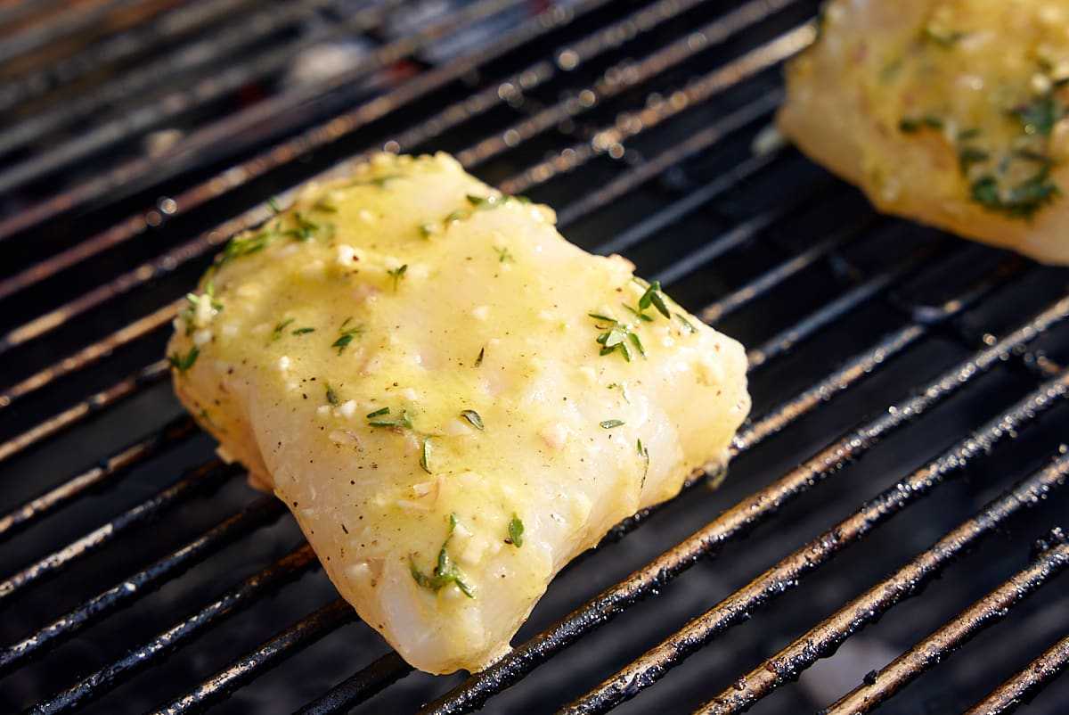 Halibut filets on the grill