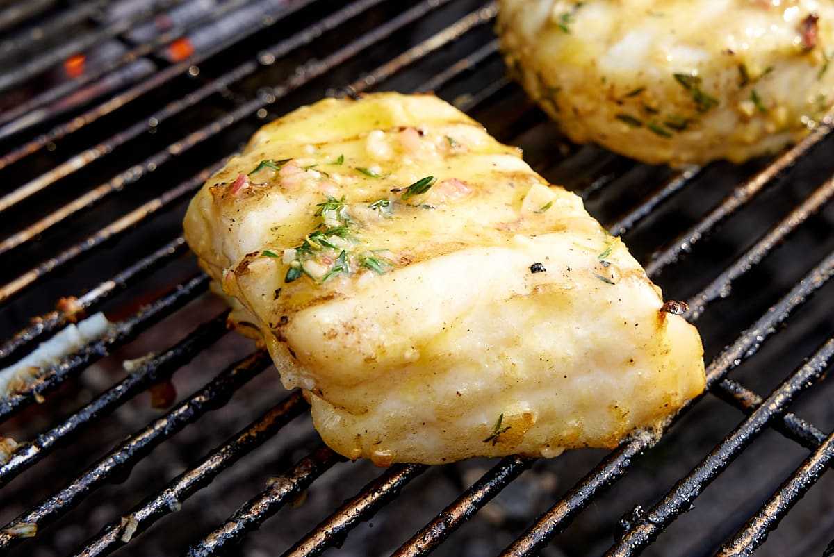 Grilled halibut cooked to perfection